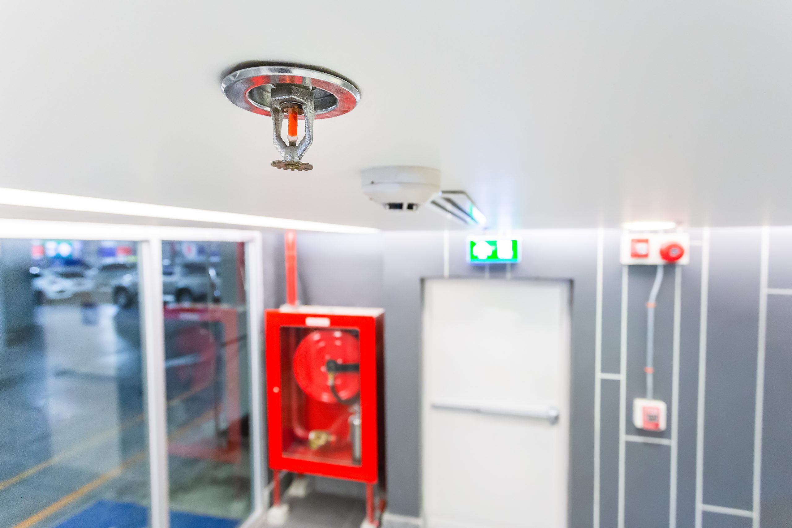 Fire Sprinkler Systems